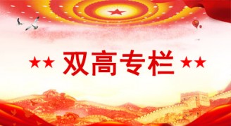 双高专栏