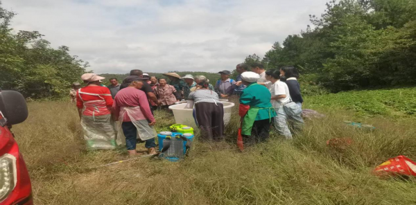 科技引领 赋能产业高质量发展 ——我系科技特派员服务团队深入德江开展标准化种植技术培训