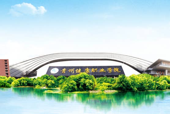 安侨教育投资集团一行来我院开展校企合作